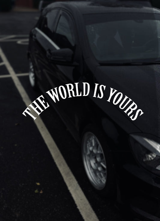 WORLDISYOURS rear wiper decal