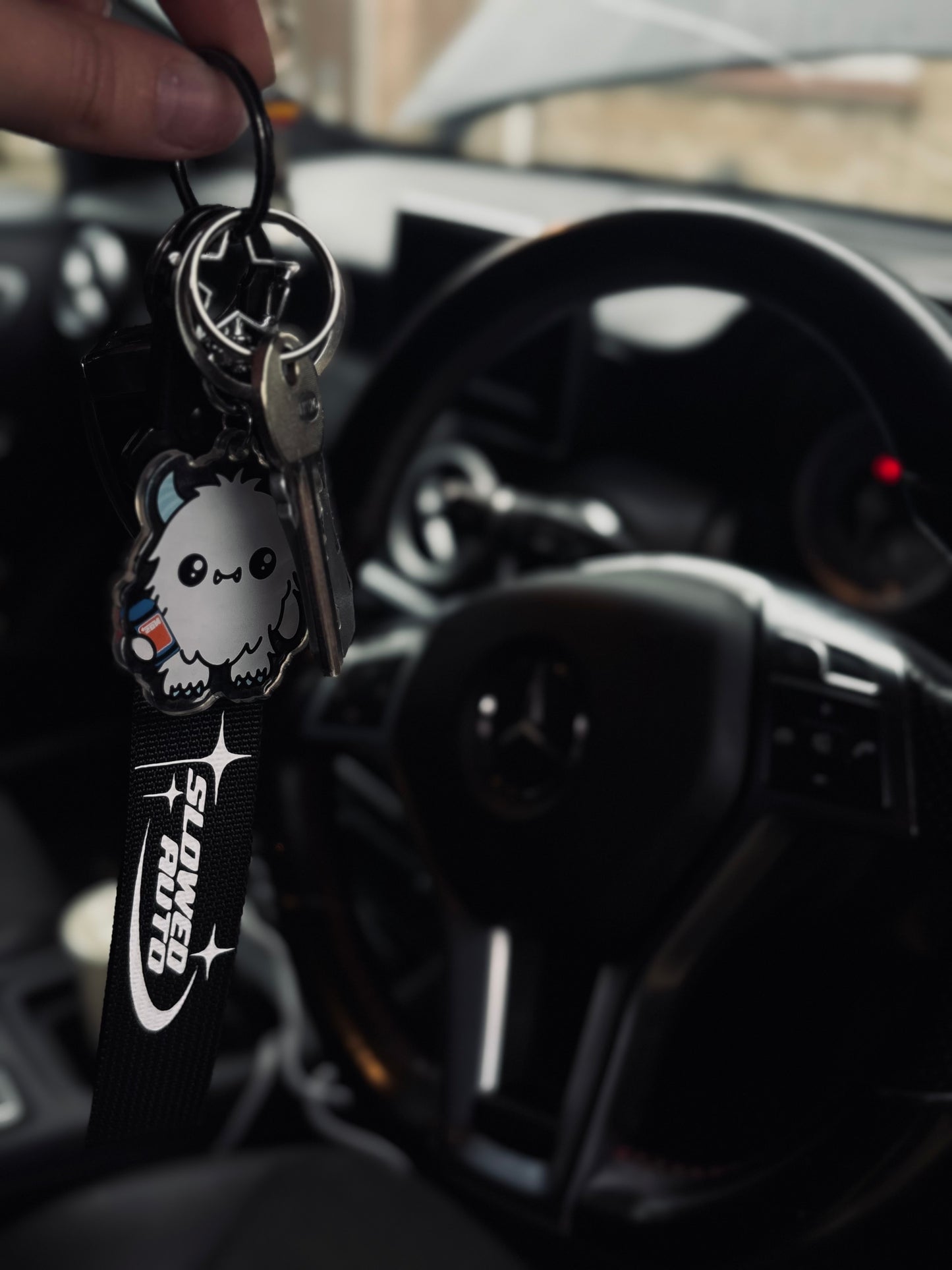 WISHING STAR wristlet